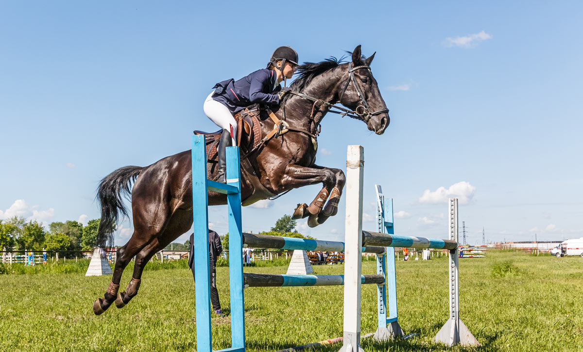 Конкур - Nn semonov_nn