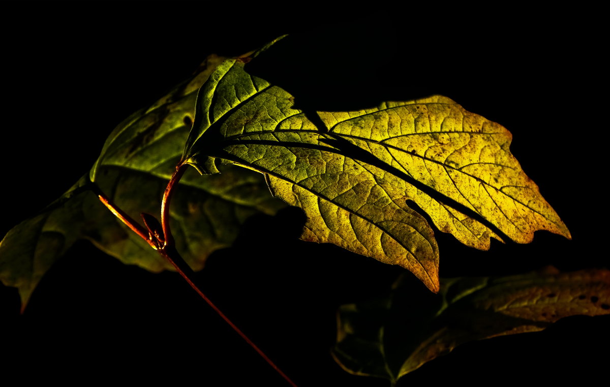 . - Сергей Фатеев