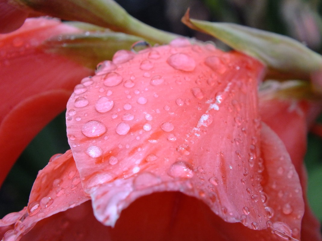 Дождь)) - Алексей Кузнецов