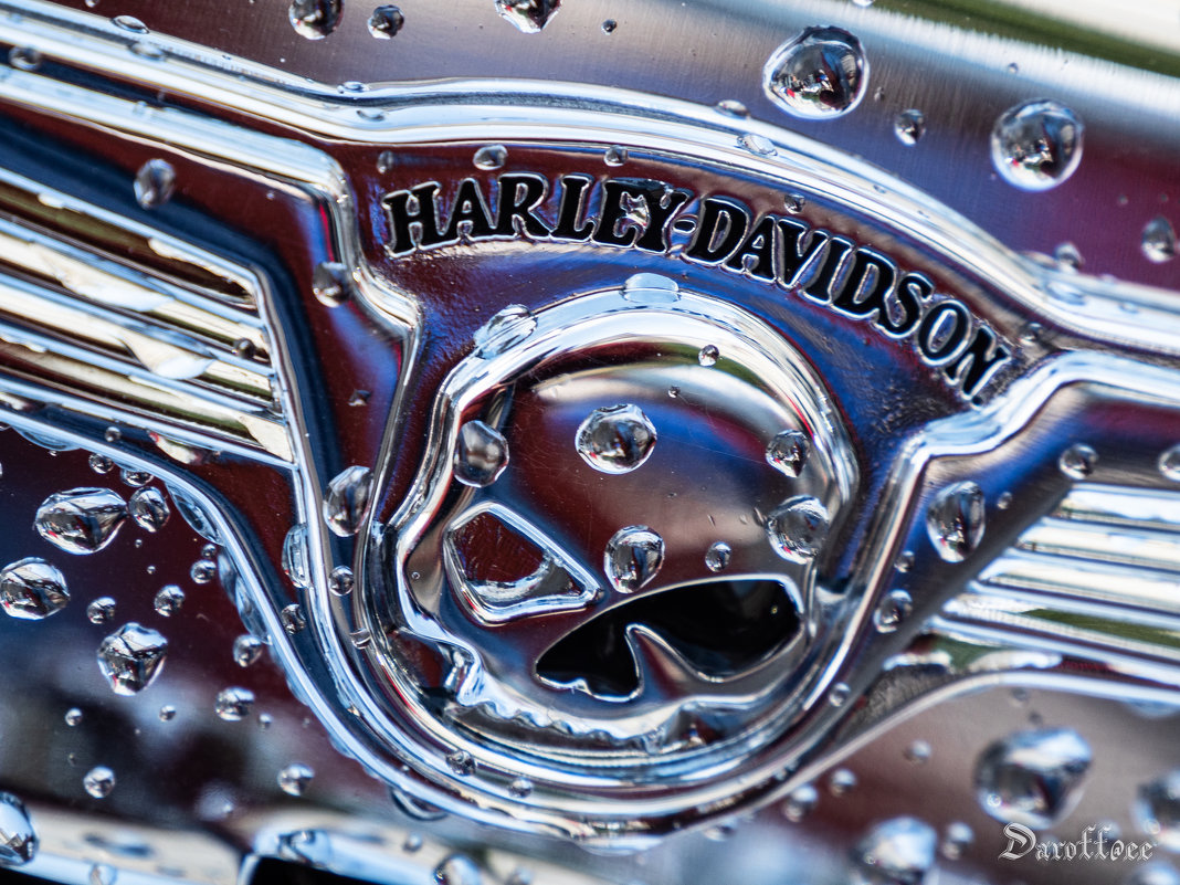 harley davidson - Даниил pri (DAROF@P) pri