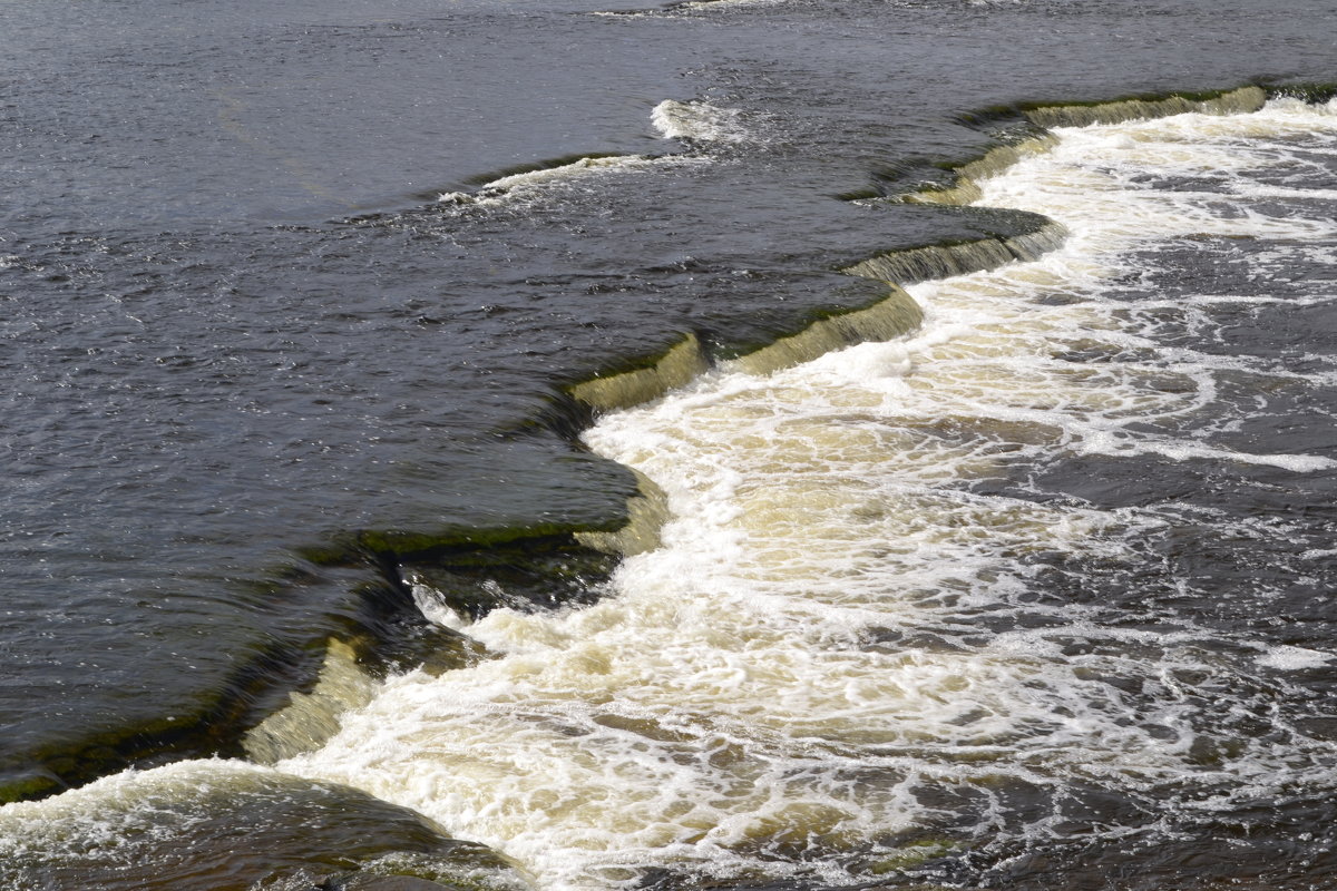 ... - Михаил Жуковский