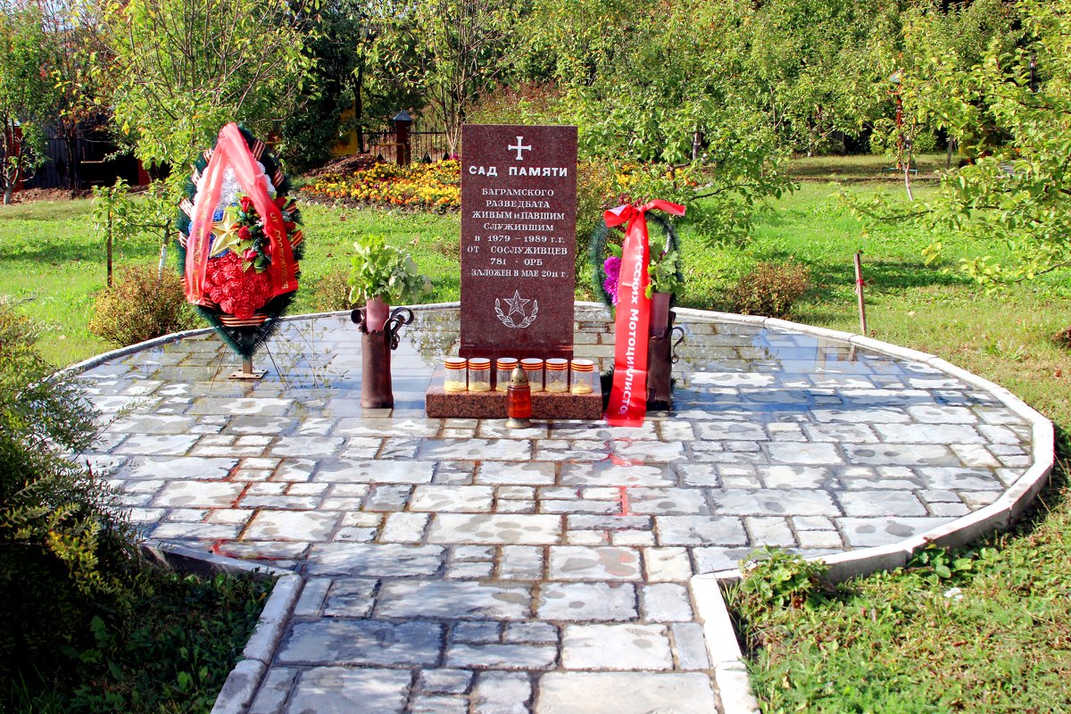 в саду памяти - Дмитрий Солоненко