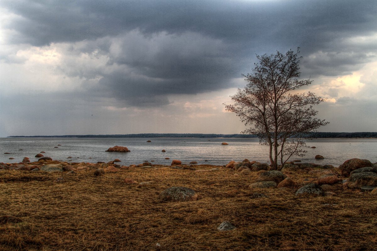 Одиночка - Cергей Кочнев