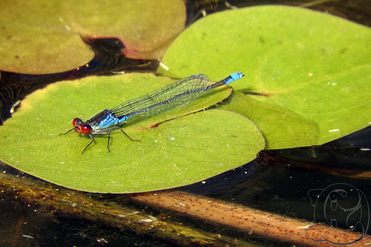 после выходных - Юрий Словецкий после выходных - Юрий Словецкий