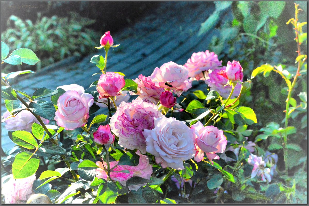 в Цивильском женском монастыре. - Юрий Ефимов в Цивильском женском монастыре. - Юрий Ефимов