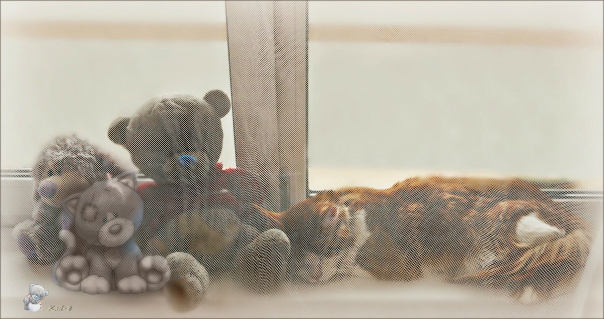 Тедди звери - Кай-8 (Ярослав) Забелин