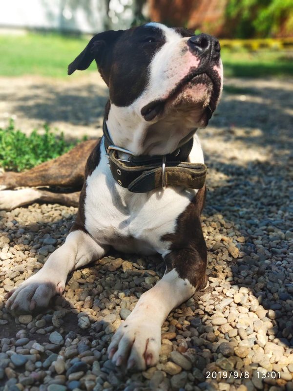 ....друг - Вера 