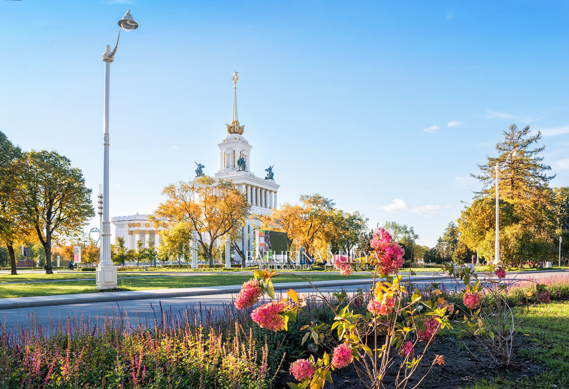 Павильон и цветы - Юлия Батурина