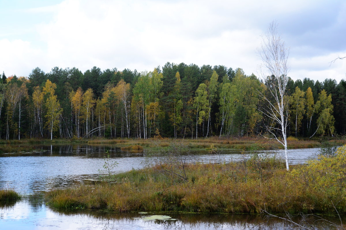 *** - Александр 