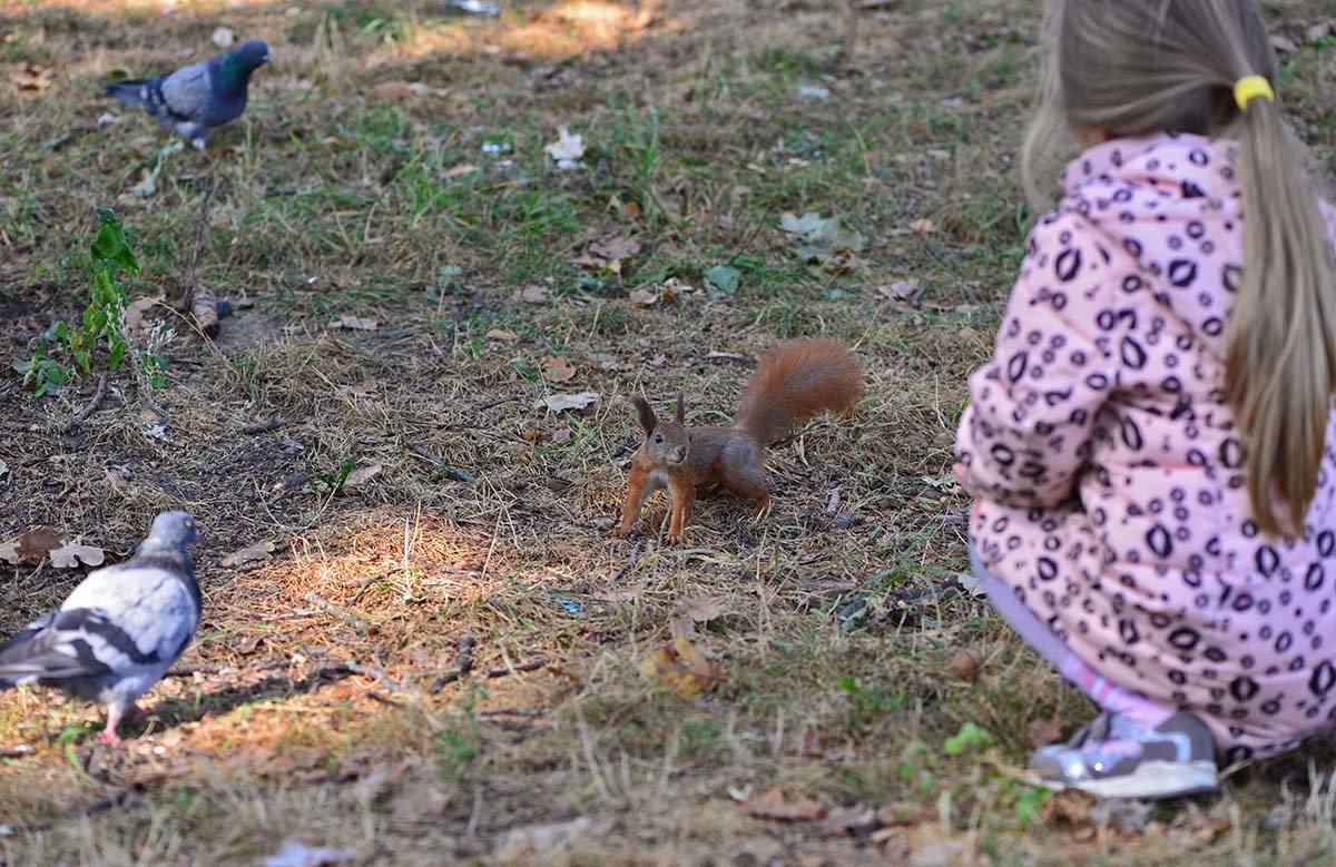 - Ну ЧТО ты нам принесла?  ) - Тамара Бедай 