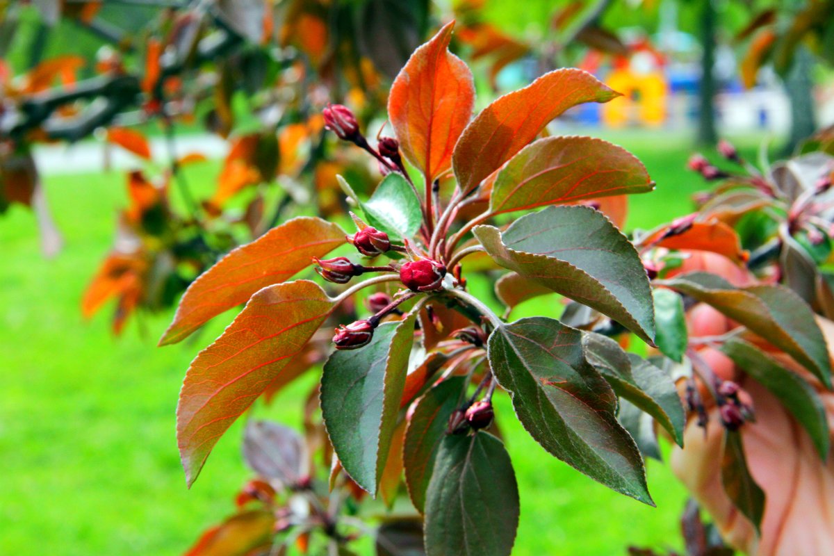 ... - Александр ***