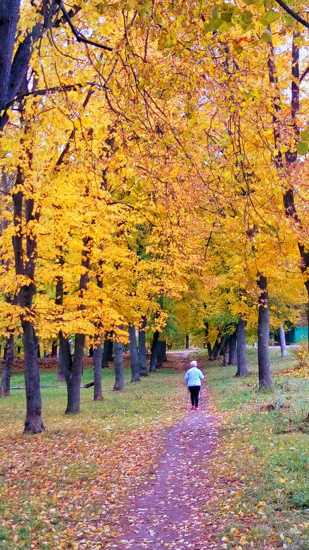 Осенний марафон - Леонид Абросимов