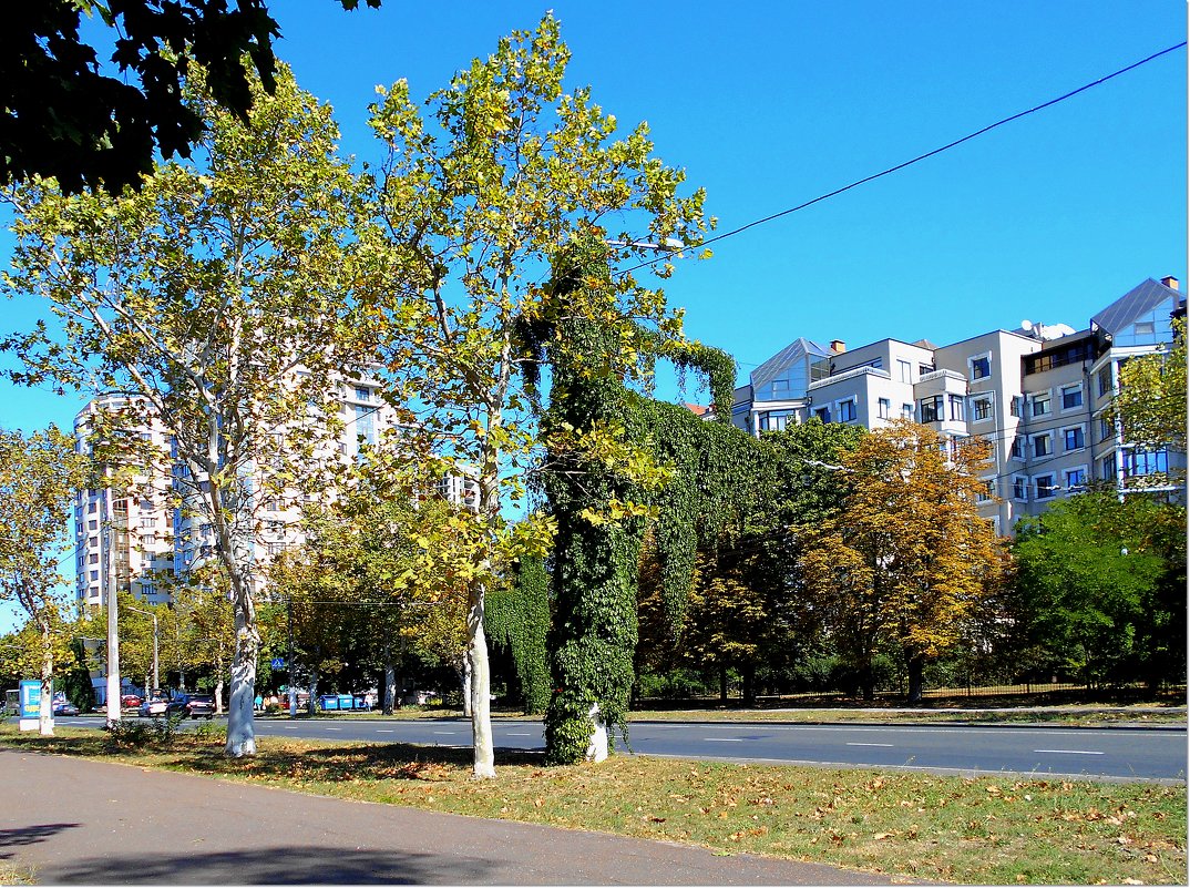 Городская зарисовка - Людмила 