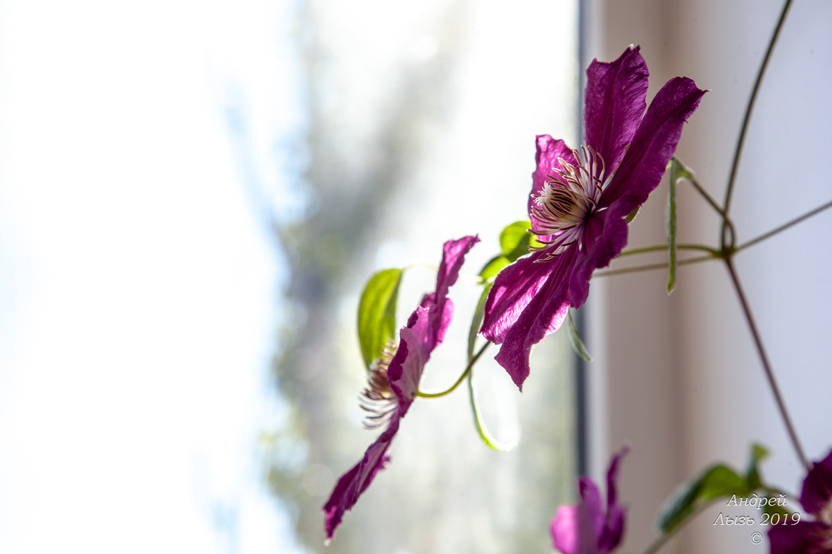 А за окном октябрь:) - Андрей Lyz