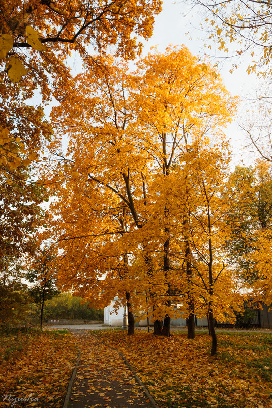 Осенний вечер в Алтуфьево - Nyusha .