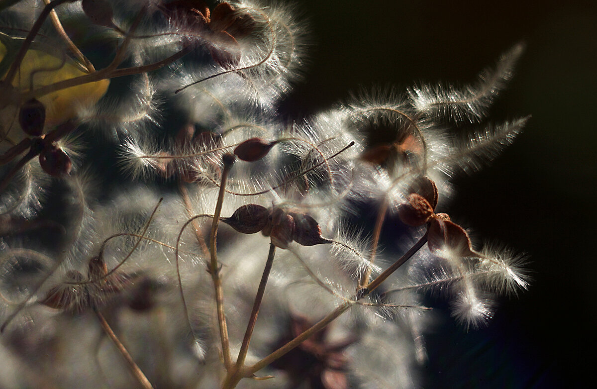 Удивительное рядом. - Елена Тренкеншу