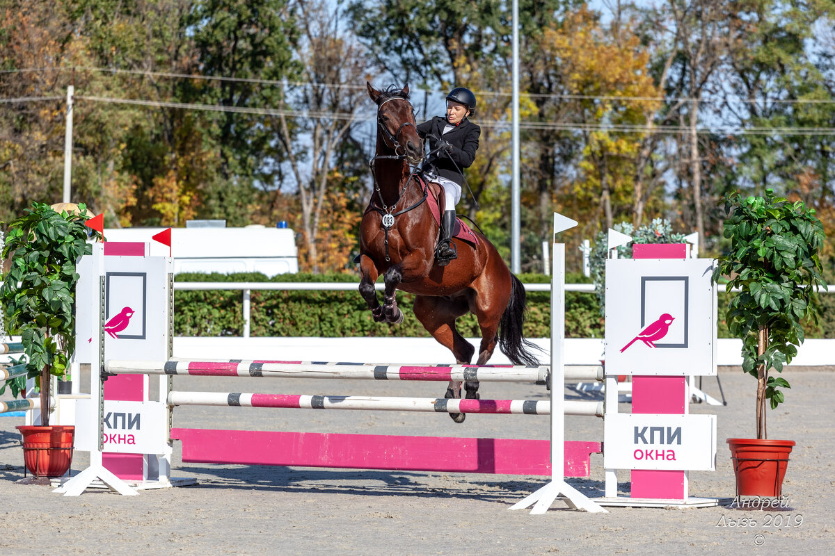 Кубок КСК Golden Horse 2019-10-13 - Андрей Lyz