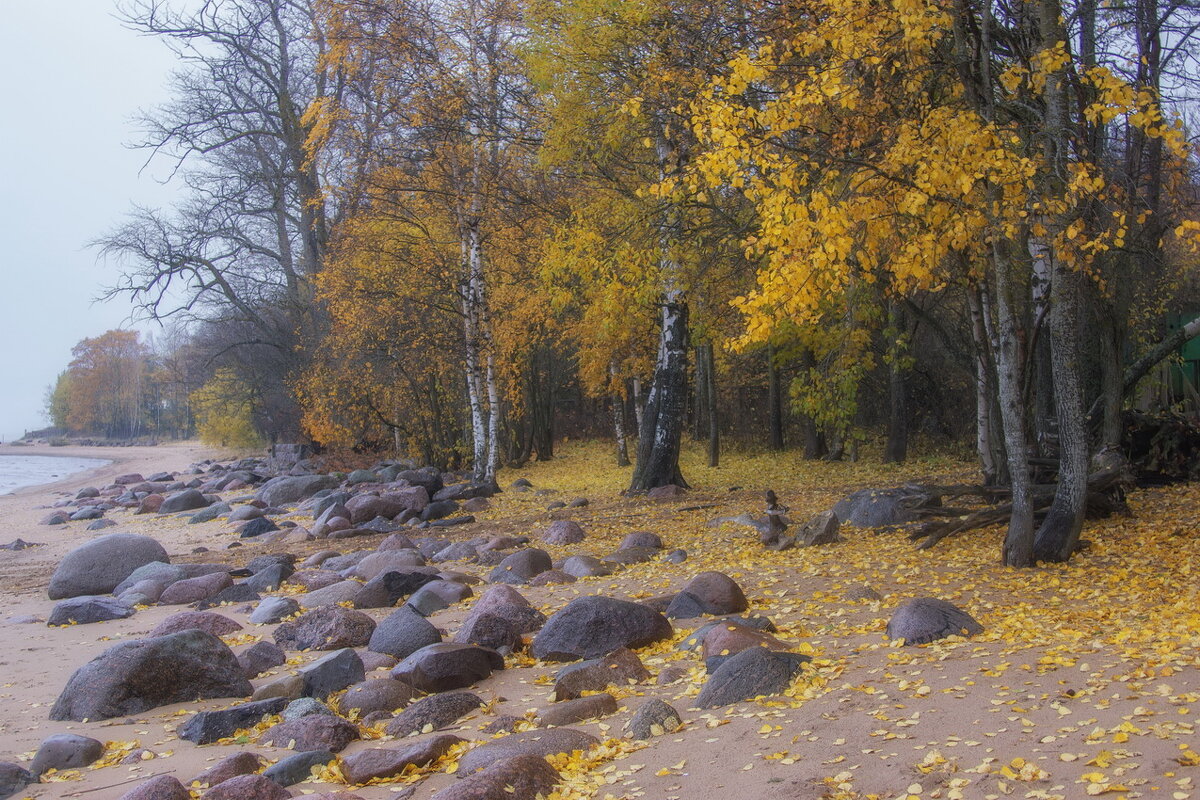 *** - Сергей  Могутов 