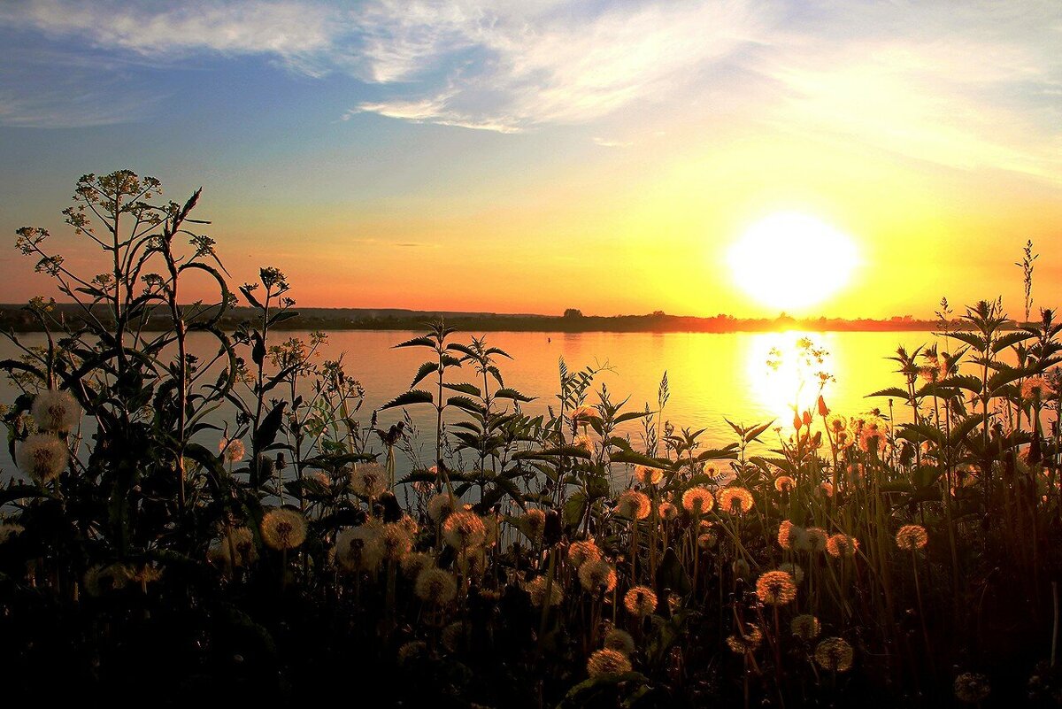 Вспоминая весну - владимир тимошенко 