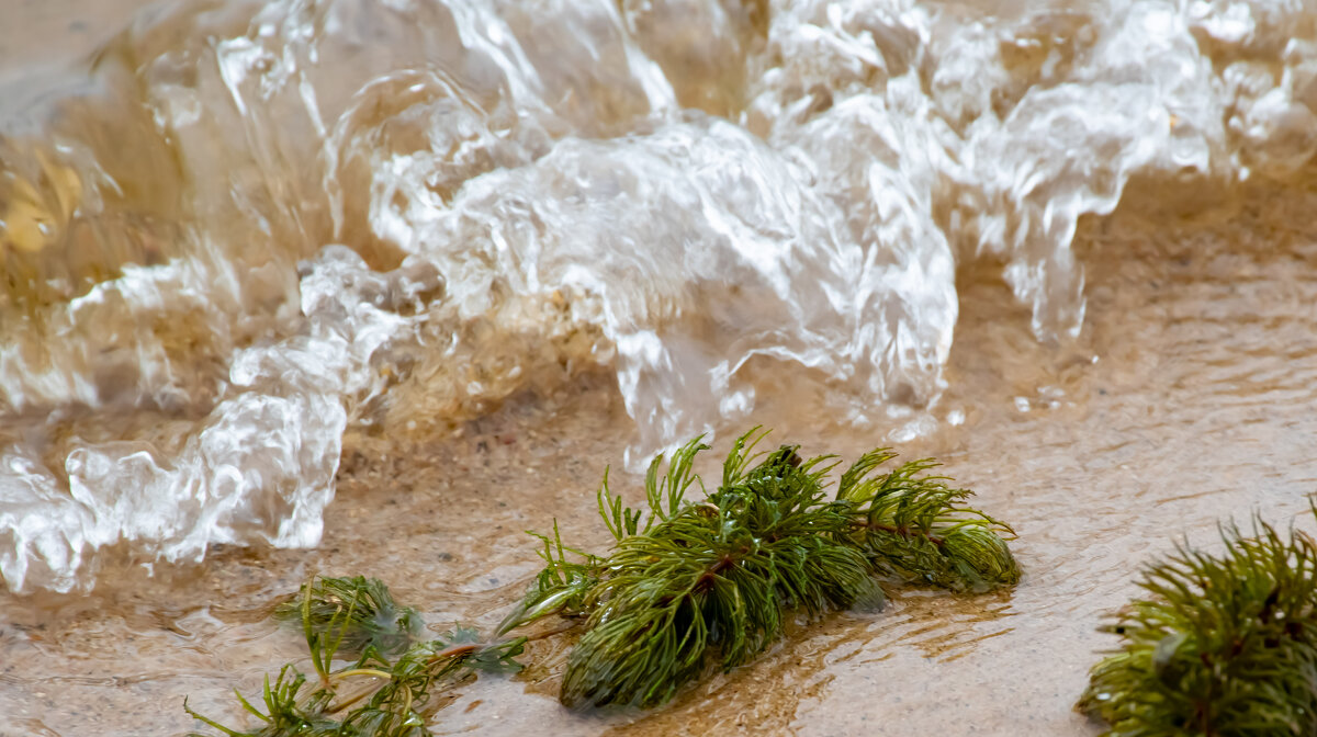 Волна - Cissa Andebo