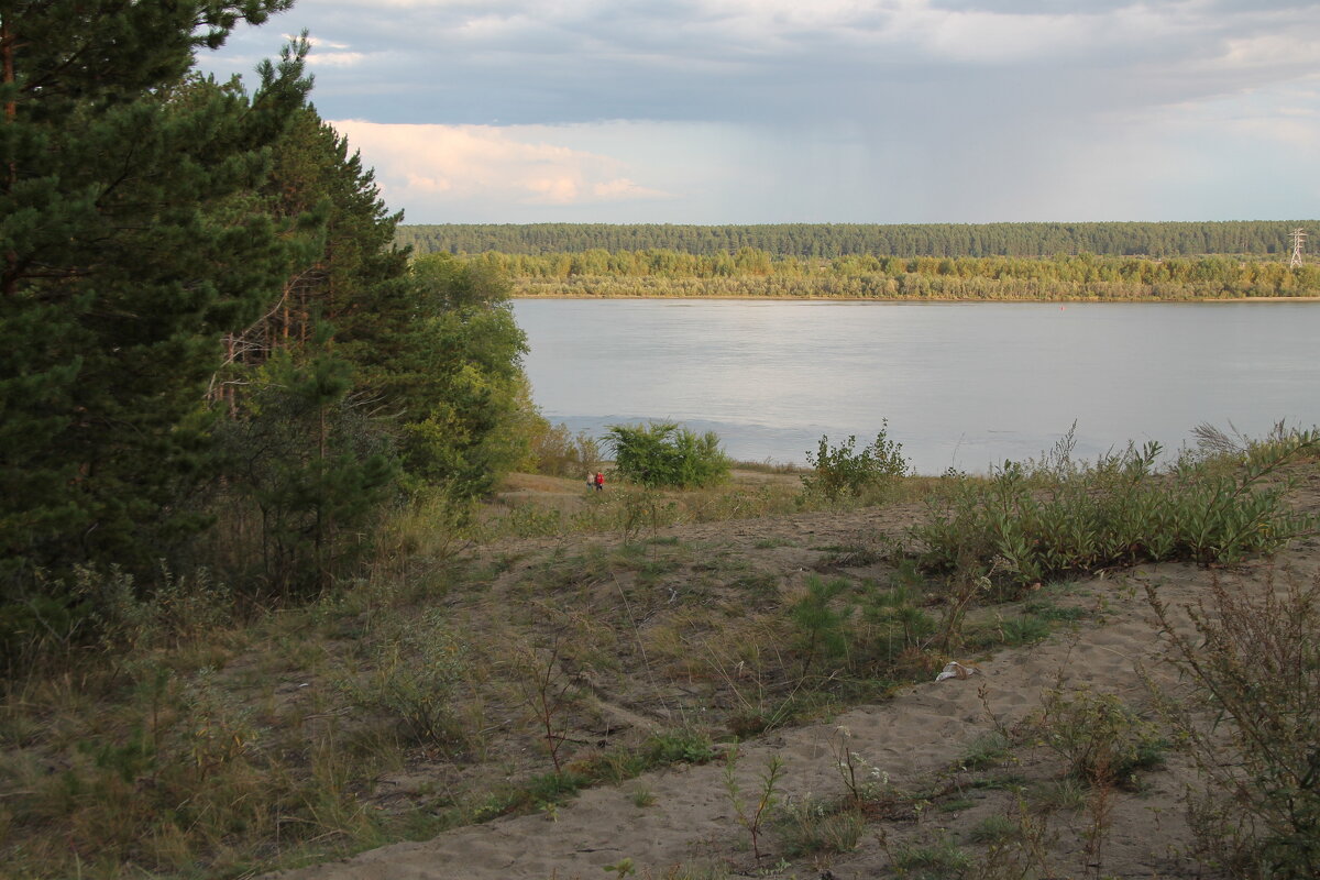 Вид на Бию - Олег Афанасьевич Сергеев