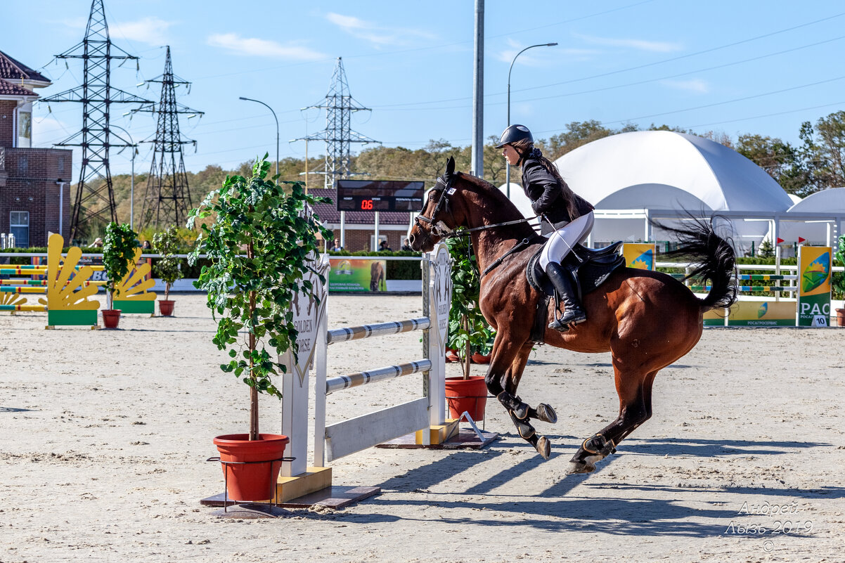 Кубок КСК Golden Horse 2019-10-13 - Андрей Lyz