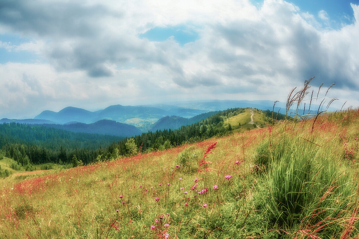 В Карпатах. - Юрий Гординский