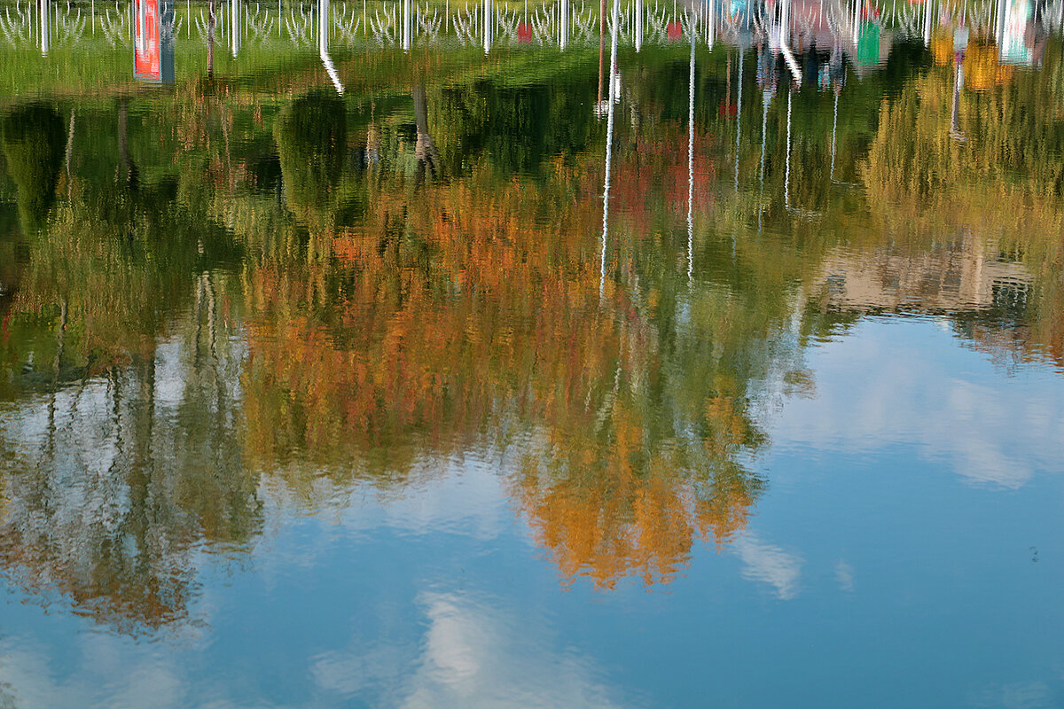 Перевёрнутый мир - Светлана Перевёрнутый мир - Светлана