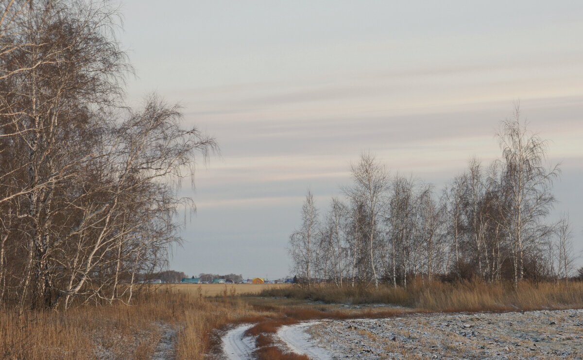 В окне берез мое село. - сергей 