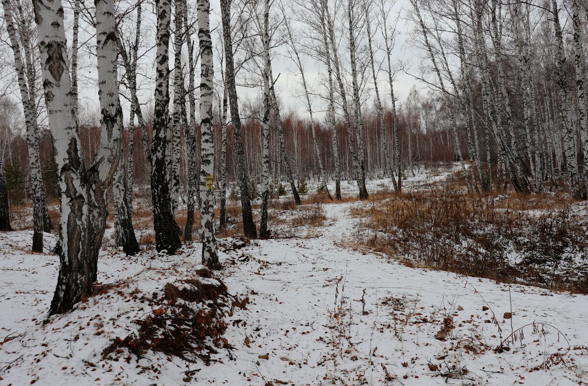 --- - Татьяна Котельникова