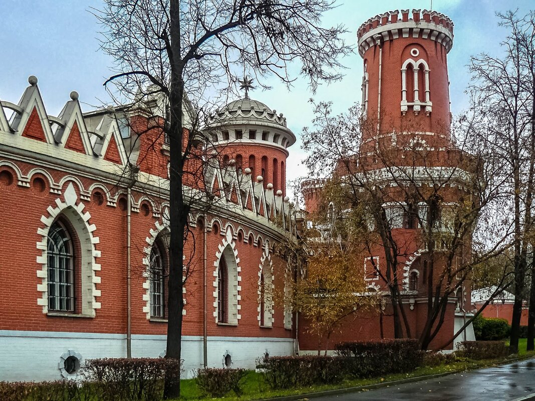 Москва. Петровский парк. - Ирина 