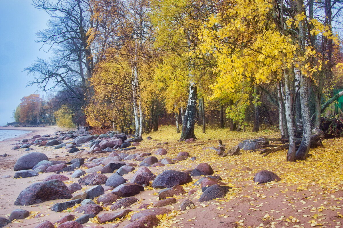 *** - Сергей  Могутов 