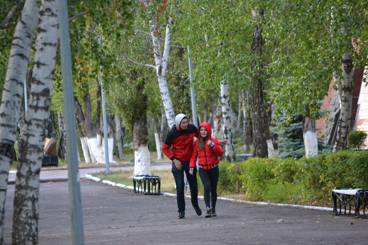 Это было недавно...Пары в городском парке... - Андрей Хлопонин