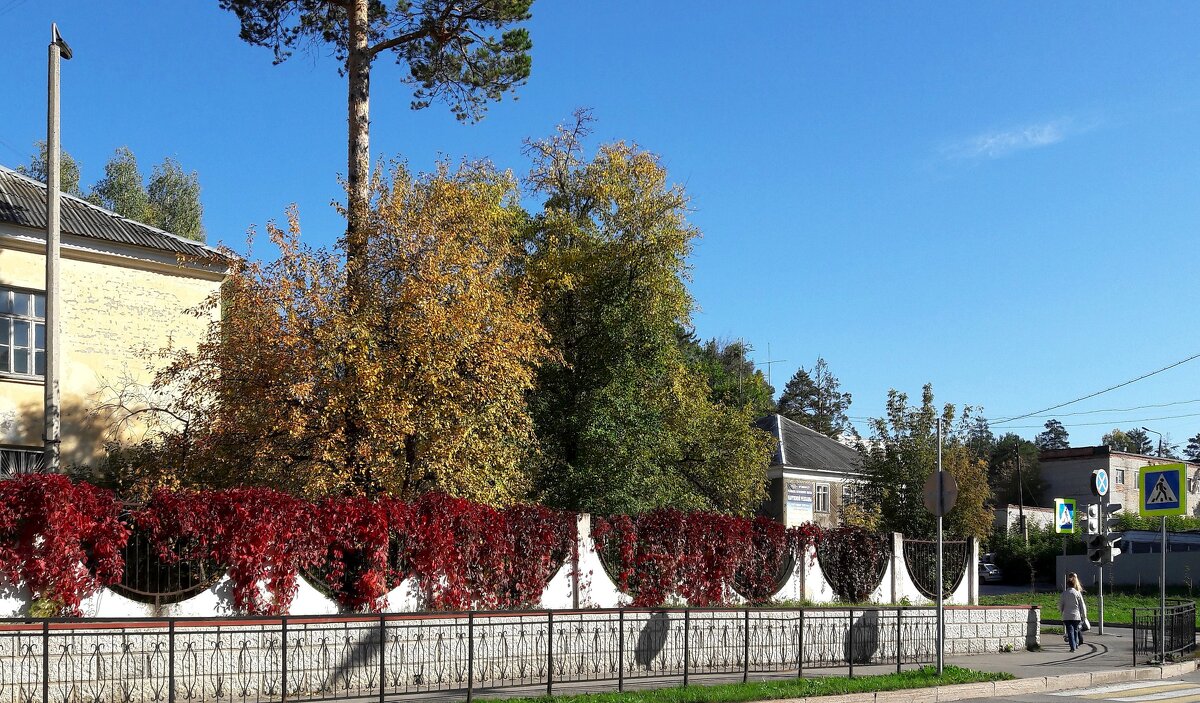 Осень в моем городе - Зинаида Каширина