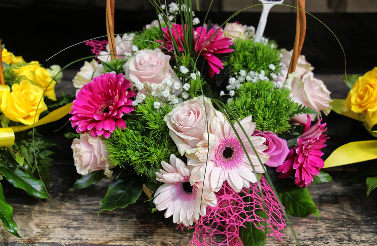 Флористика Барселоны (3) - Nina Karyuk Флористика Барселоны (3) - Nina Karyuk