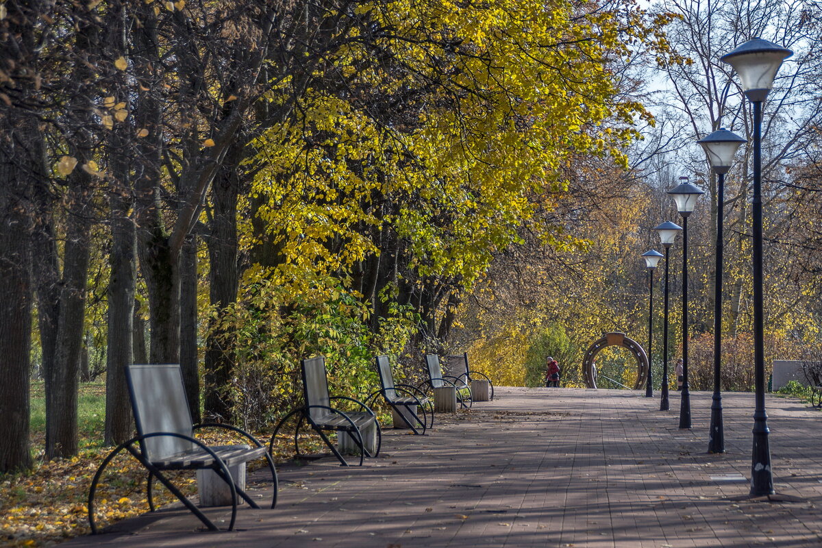 Опустевшие аллеи - gribushko грибушко Николай Опустевшие аллеи - gribushko грибушко Николай