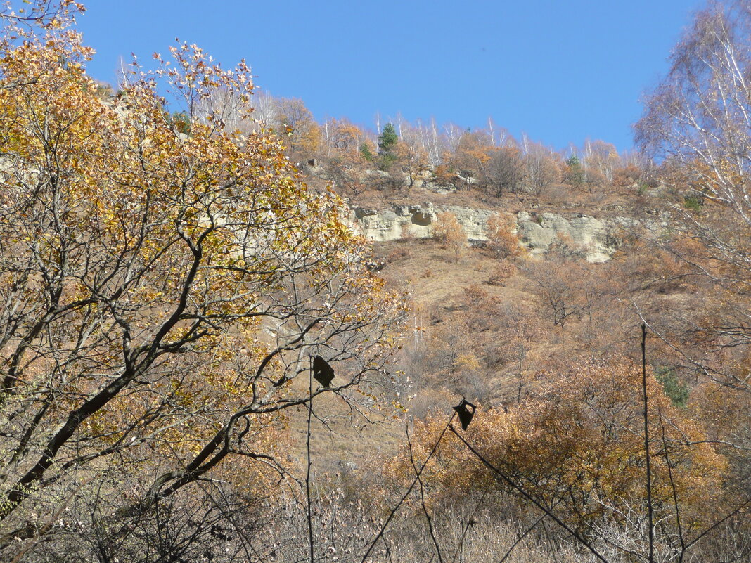 Осень в горах - Виктор 