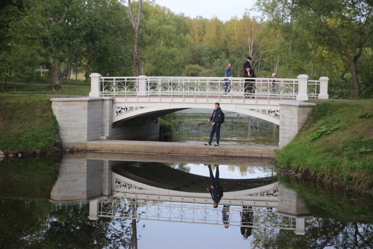 Александровский парк. Август - Наталья Герасимова