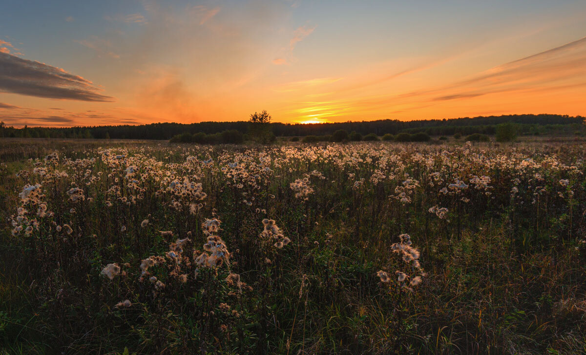 Вечер - Константин Чернышев Вечер - Константин Чернышев