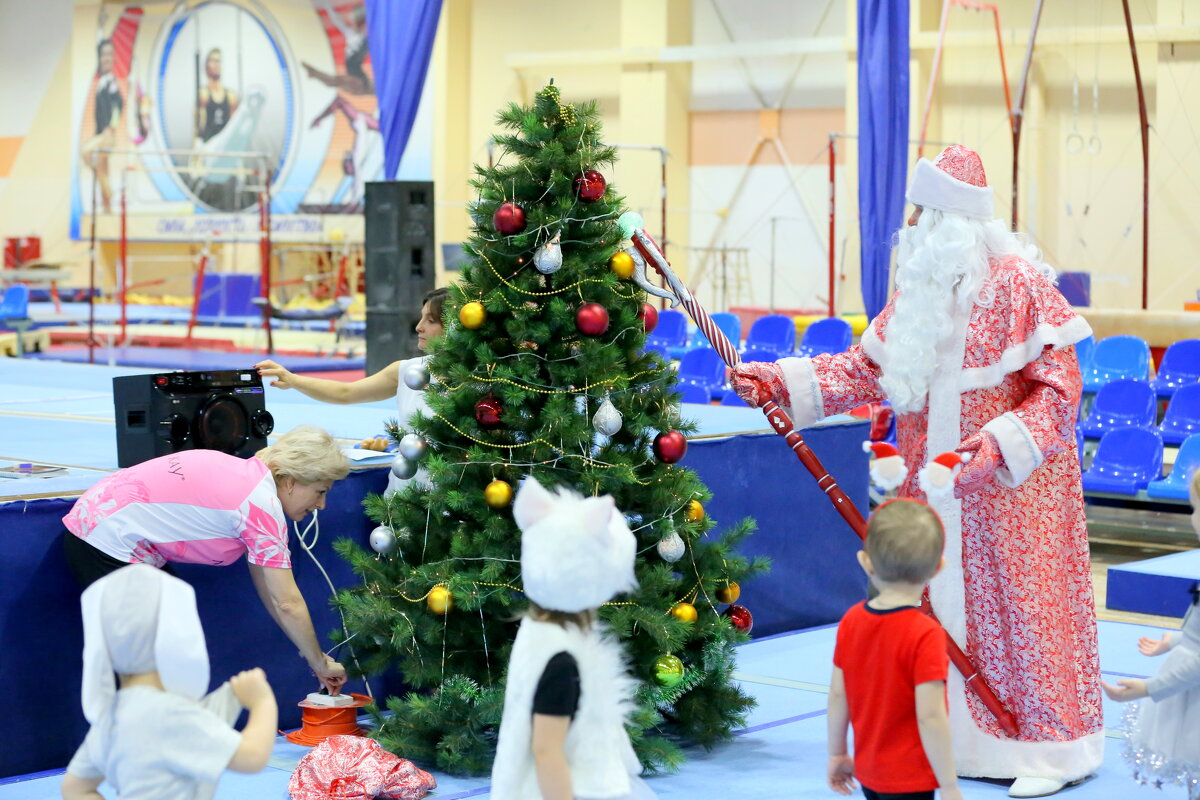 Раз, два, три....ёлочка гори!!! - Roman Kashin Раз, два, три....ёлочка гори!!! - Roman Kashin