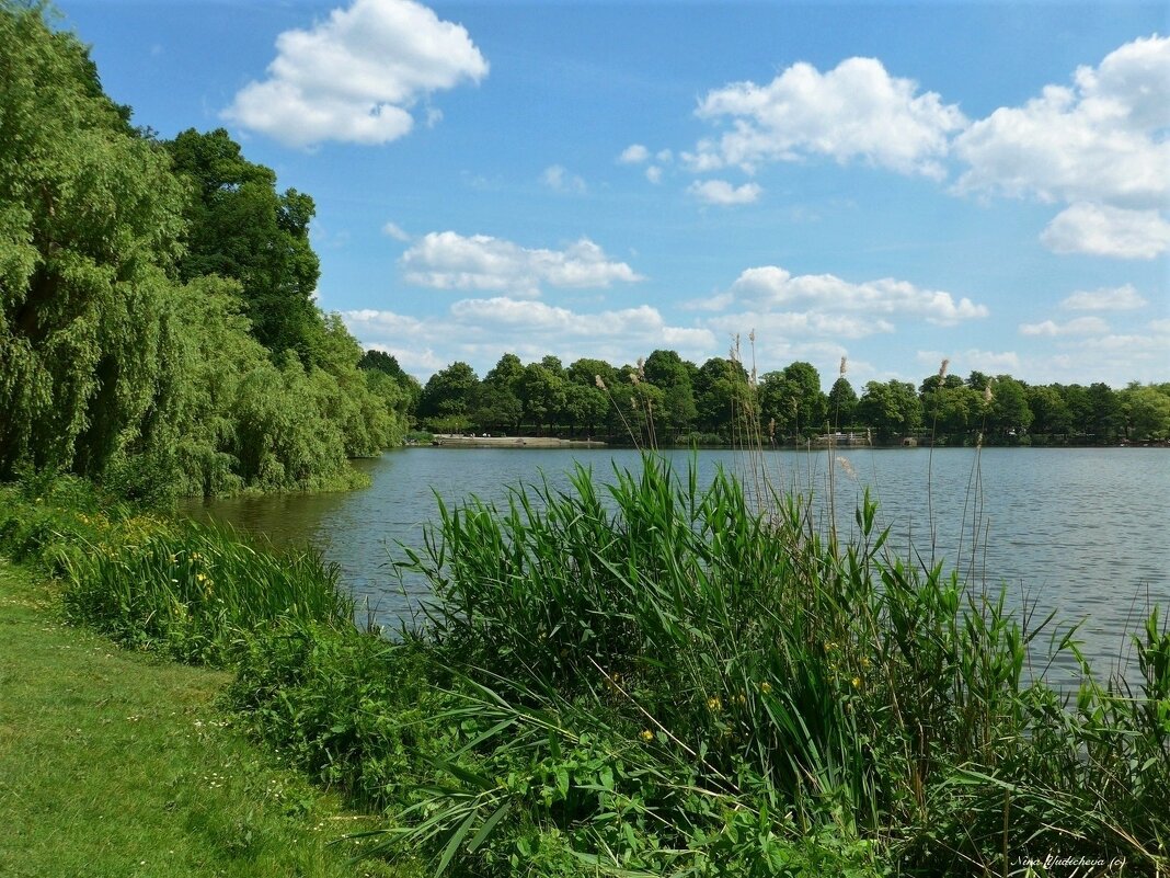 Außenmühlenteich Hamburg - Nina Yudicheva