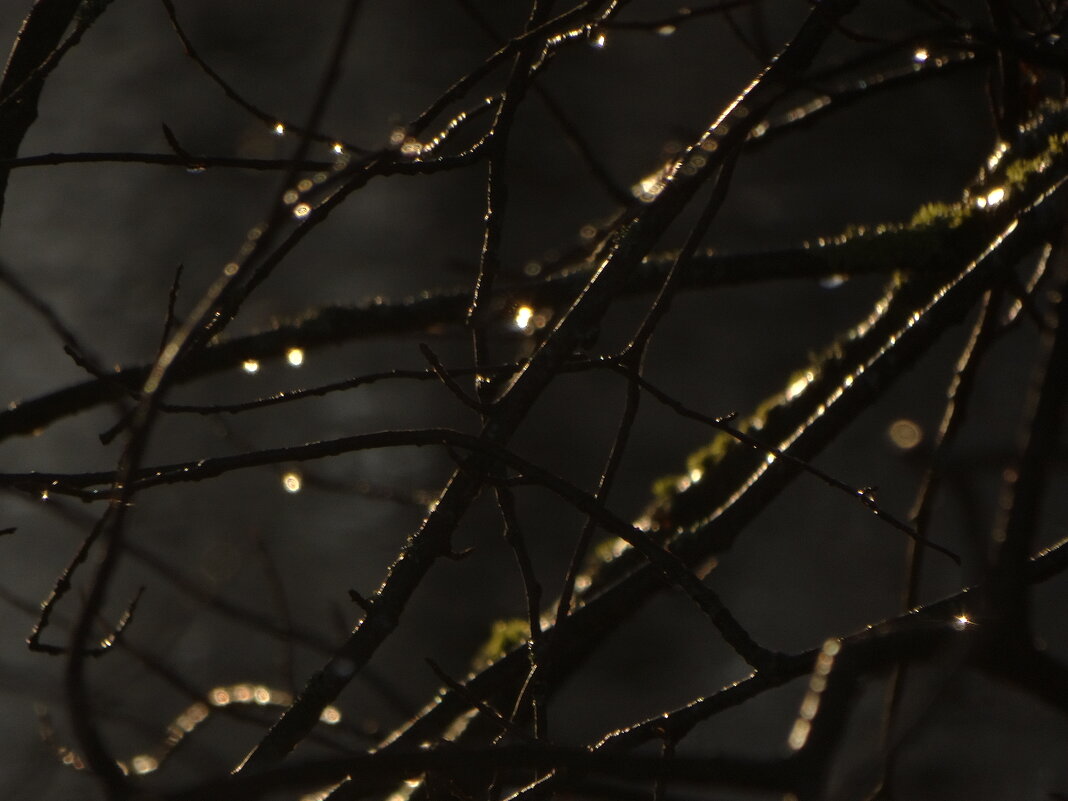 дождливый январь.. - Михаил Жуковский дождливый январь.. - Михаил Жуковский