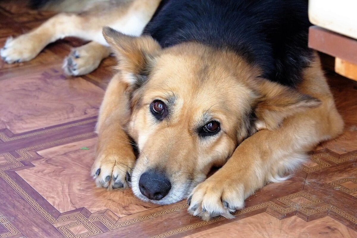 Найда - Вадим Найда - Вадим