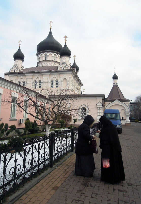 Молочко монастырских козочек для болезной... - Тамара Бедай Молочко монастырских козочек для болезной... - Тамара Бедай