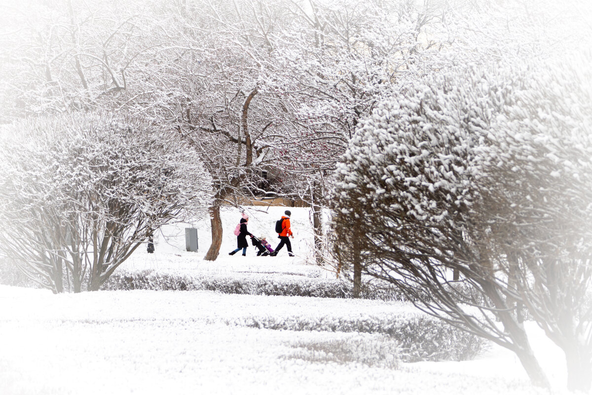 *** - Алексей Федотов