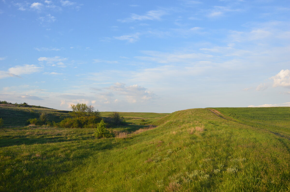 Вечер в степи. - Виктор 