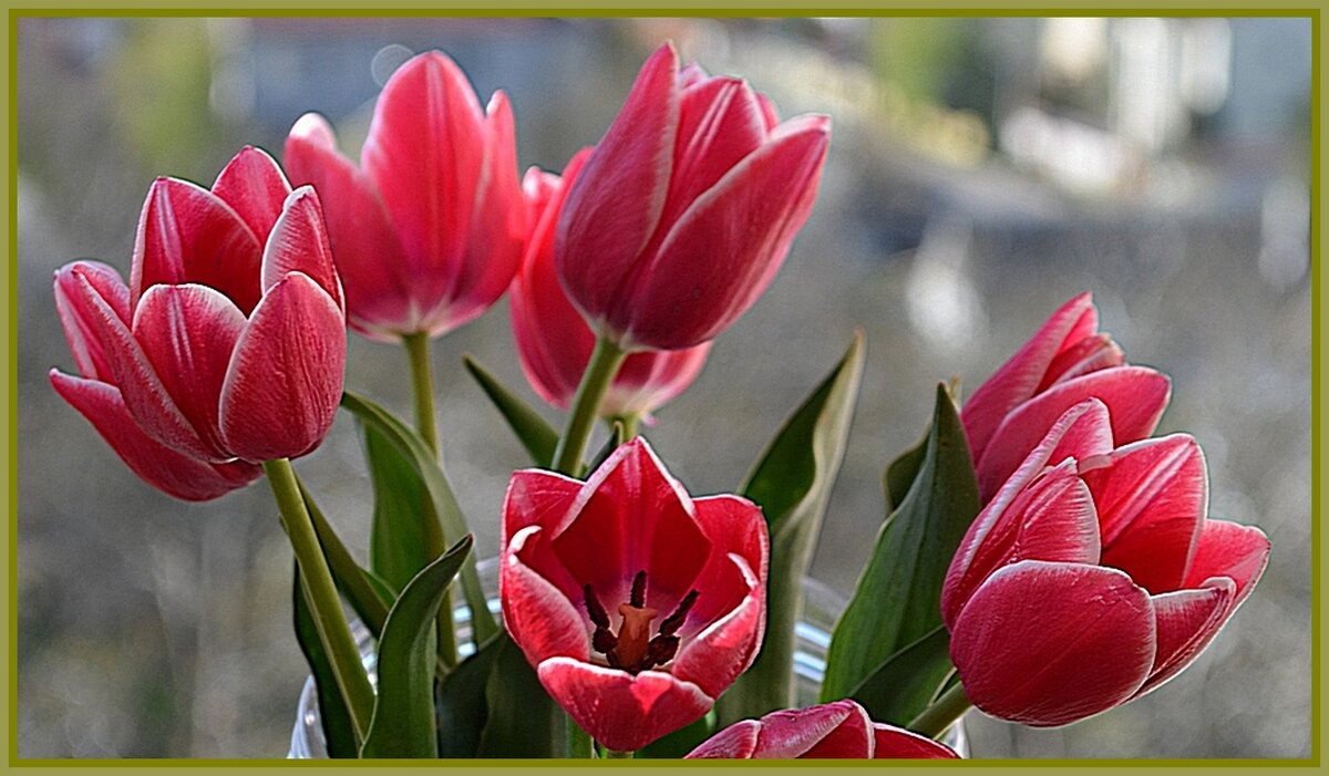 НАС УТРО ЦВЕТАМИ ВСТРЕЧАЕТ - Анатолий Восточный НАС УТРО ЦВЕТАМИ ВСТРЕЧАЕТ - Анатолий Восточный