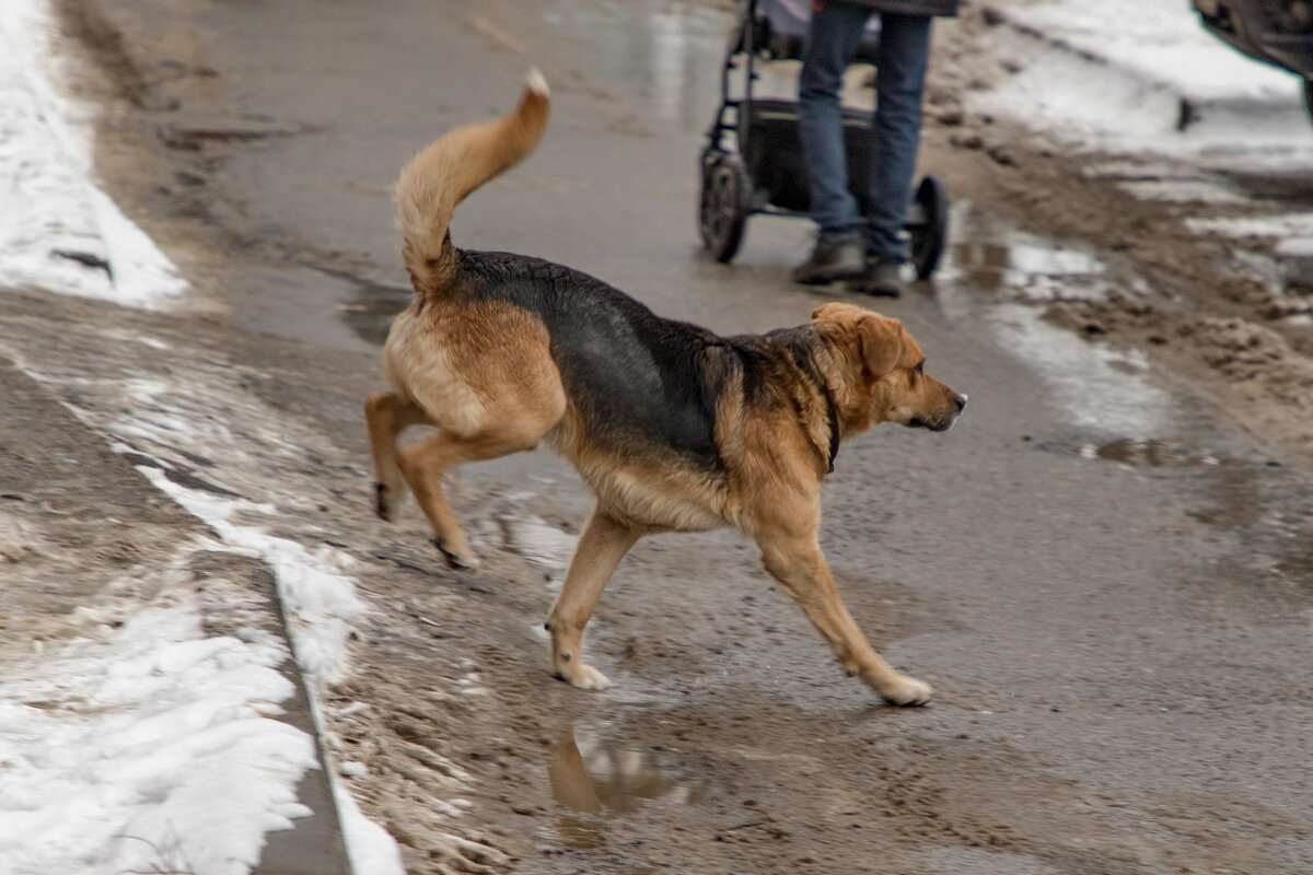 Неудобно, но зато две ноги будут сухие. - Анатолий. Chesnavik.