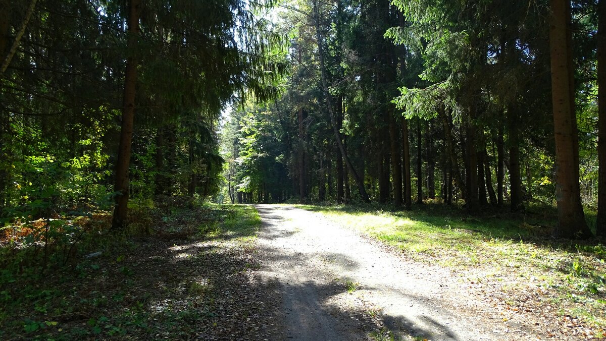 Зелёная осень Смоленщины - Милешкин Владимир Алексеевич Зелёная осень Смоленщины - Милешкин Владимир Алексеевич