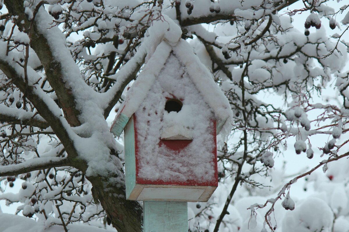 Замело - kentiya Замело - kentiya